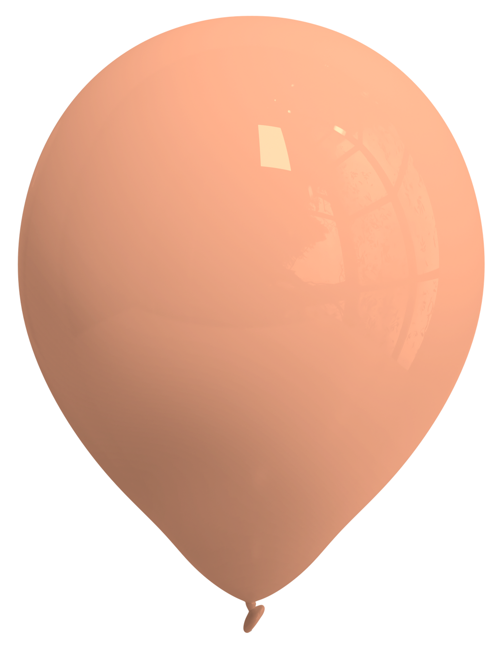 Salmón